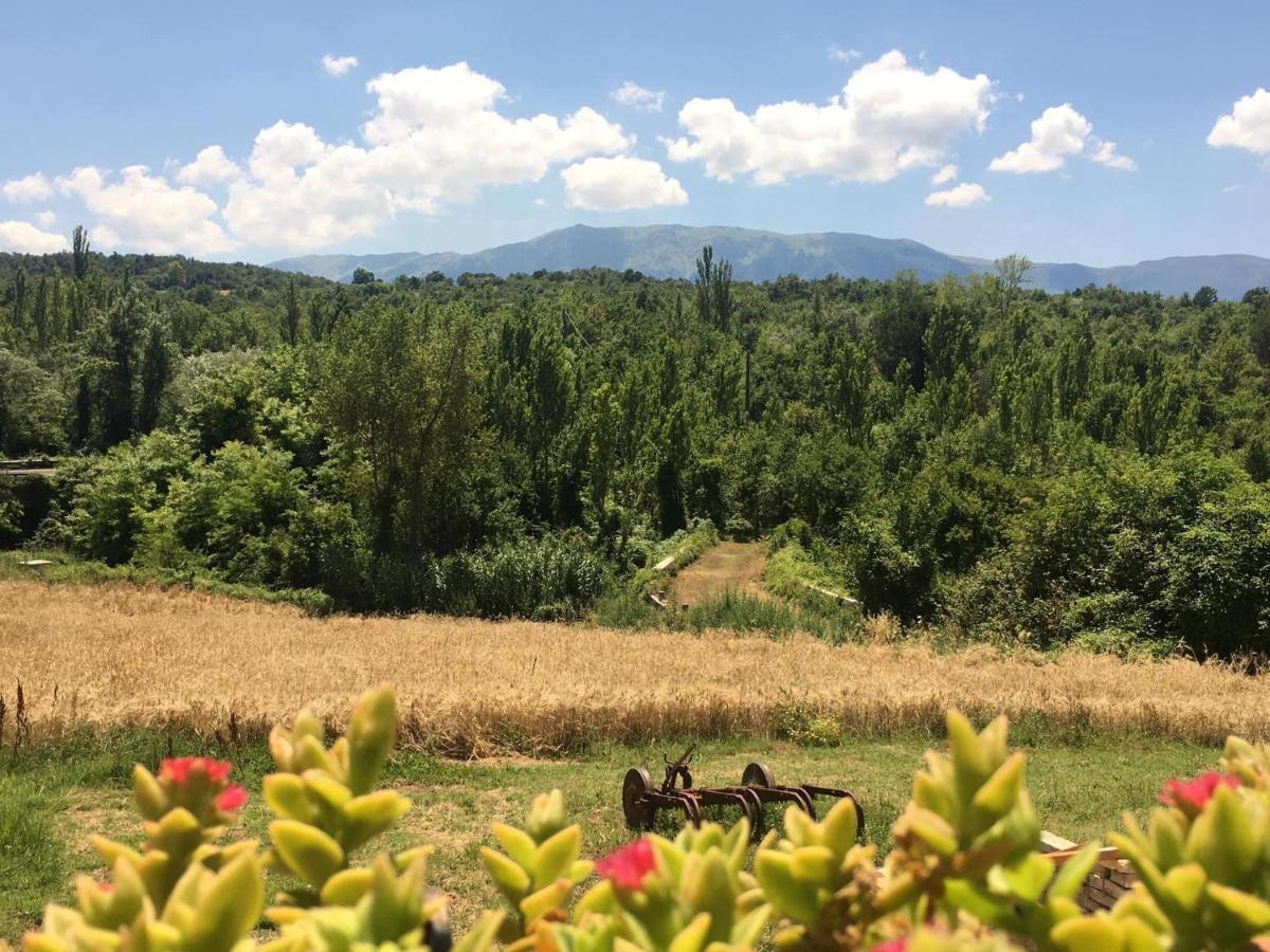 Bed&Breakfast La Ginestra Abbateggio Luaran gambar